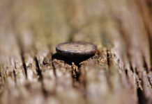 ¿Qué es la profundidad de campo en fotografía y cómo puedes controlarla?