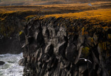 🌋 Arnarstapi: donde la tierra y el mar se enfrentan arnarstapi islandia