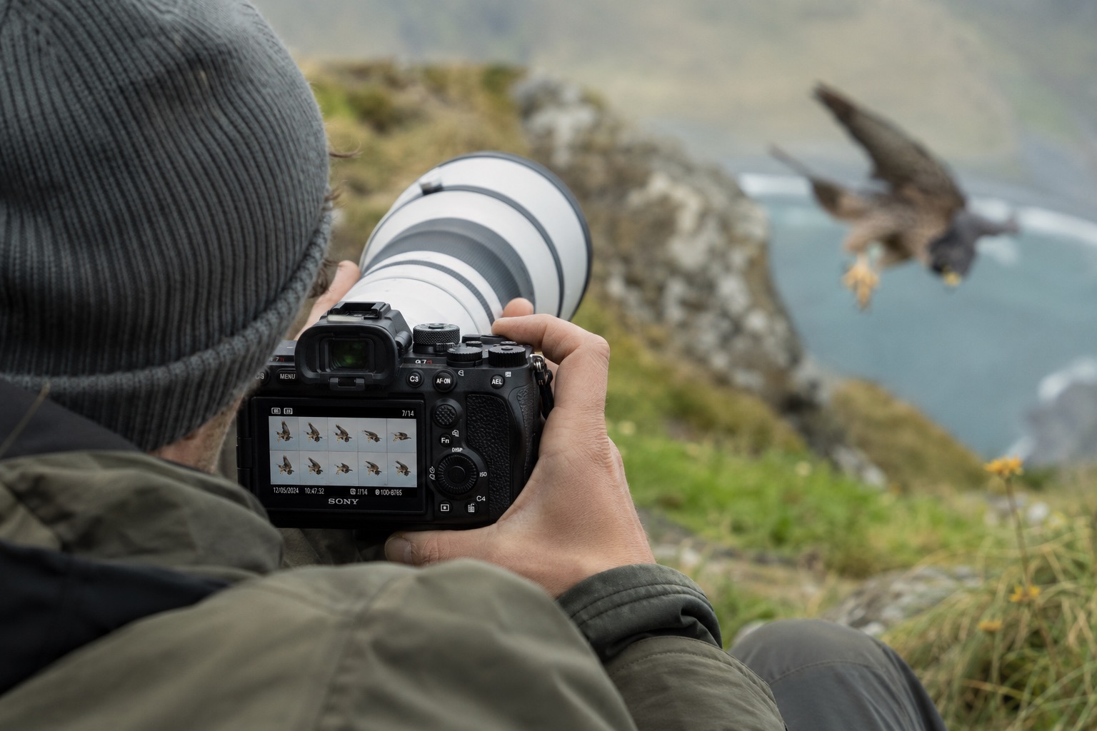a7r vi para fotografos de naturaleza