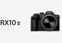 Sony RX10 V: Análisis completo, especificaciones y precio oficial Sony rx10 v
