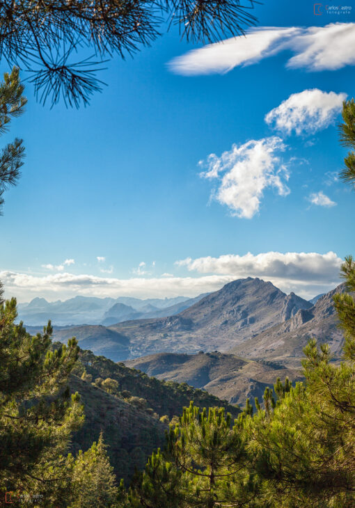 sierra-tejeda