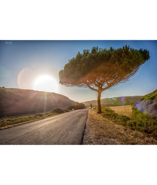 carretera-portugal