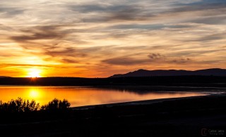 Atardecer en la laguna de Fuente de Piedra